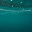 България чистота на морската вода