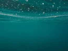 България чистота на морската вода
