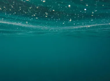 България чистота на морската вода