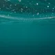 България чистота на морската вода