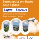 директен полет Варна Бергамо Wizz Air