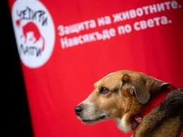 Международен ден на кучето летище София