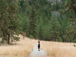 Еврото и устойчивият туризъм