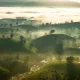 безвизов режим Виетнам България 2025