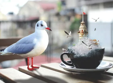 Дигитален Истанбул QR кодове