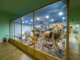 Регионален природонаучен музей Пловдив Африка Австралия