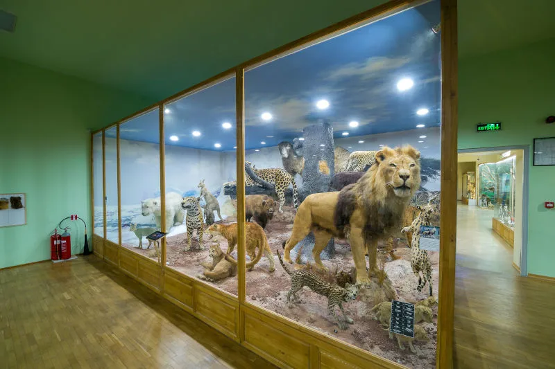 Регионален природонаучен музей Пловдив Африка Австралия