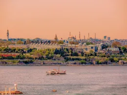 котешка вратичка Топкапъ